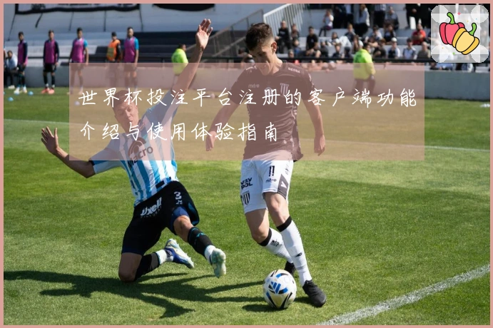 世界杯投注平台注册的客户端功能介绍与使用体验指南
